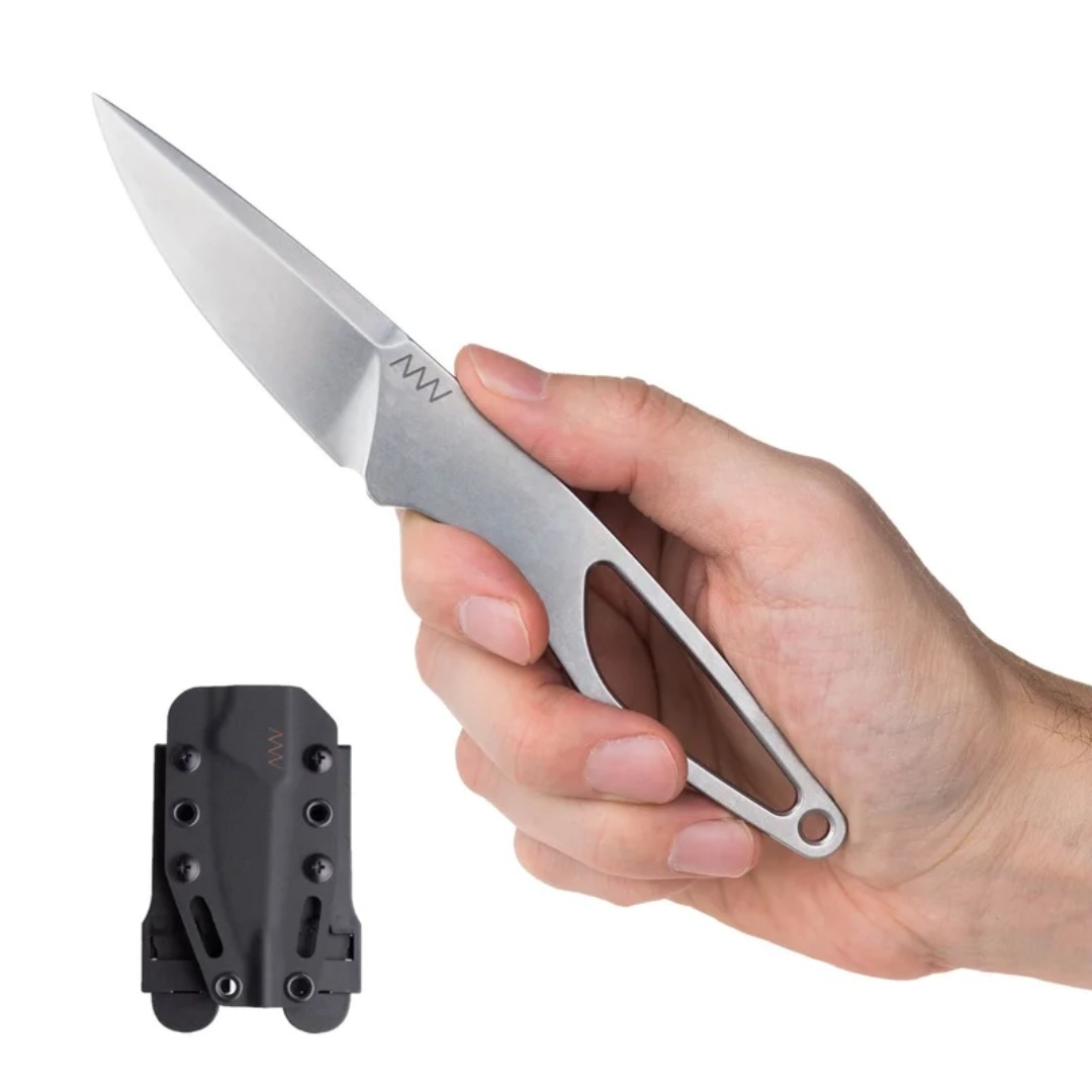 ANV P100