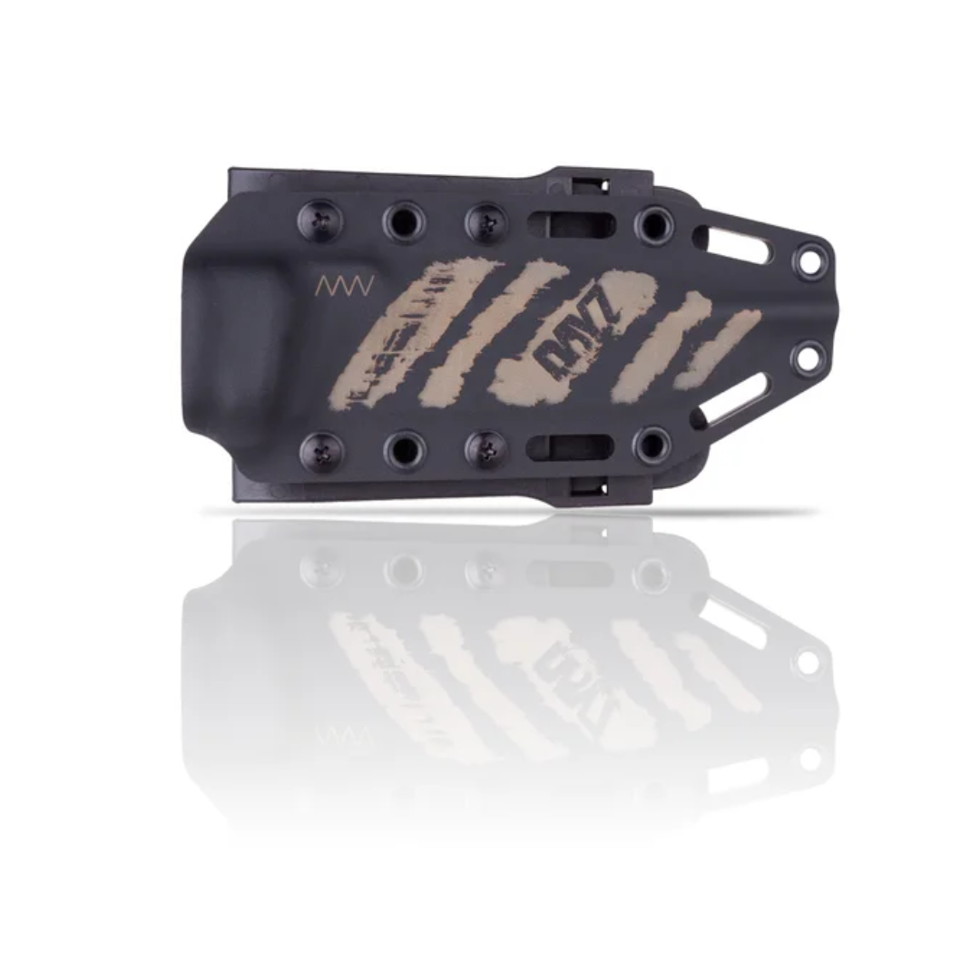 ANV - P250 DAYZ